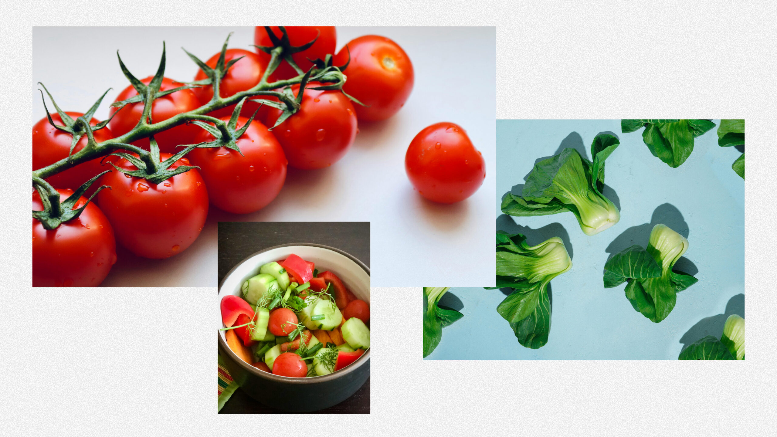 Planche d'inspiration carbure au végétal